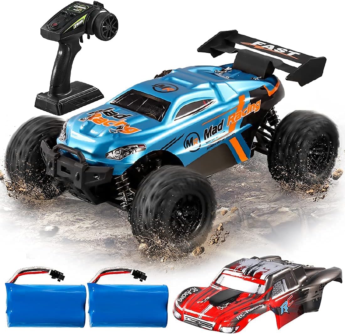 RC Cars 1:16 Scales 35+ kmh 4WD 2.4Ghz Off-Road Monster Truck Toy with 2 Batteries D114