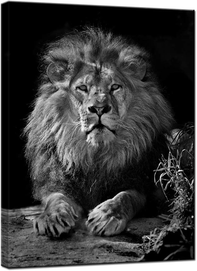 Black and White Lion Canvas Wall Art K95696