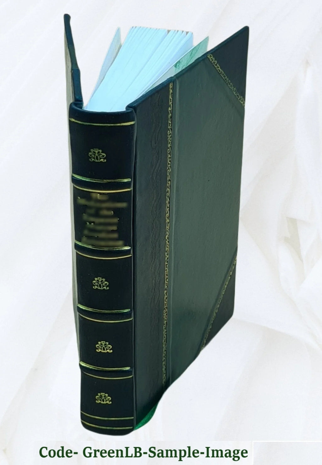 General Botha, the career and the man 1916 Leather Bound E786813