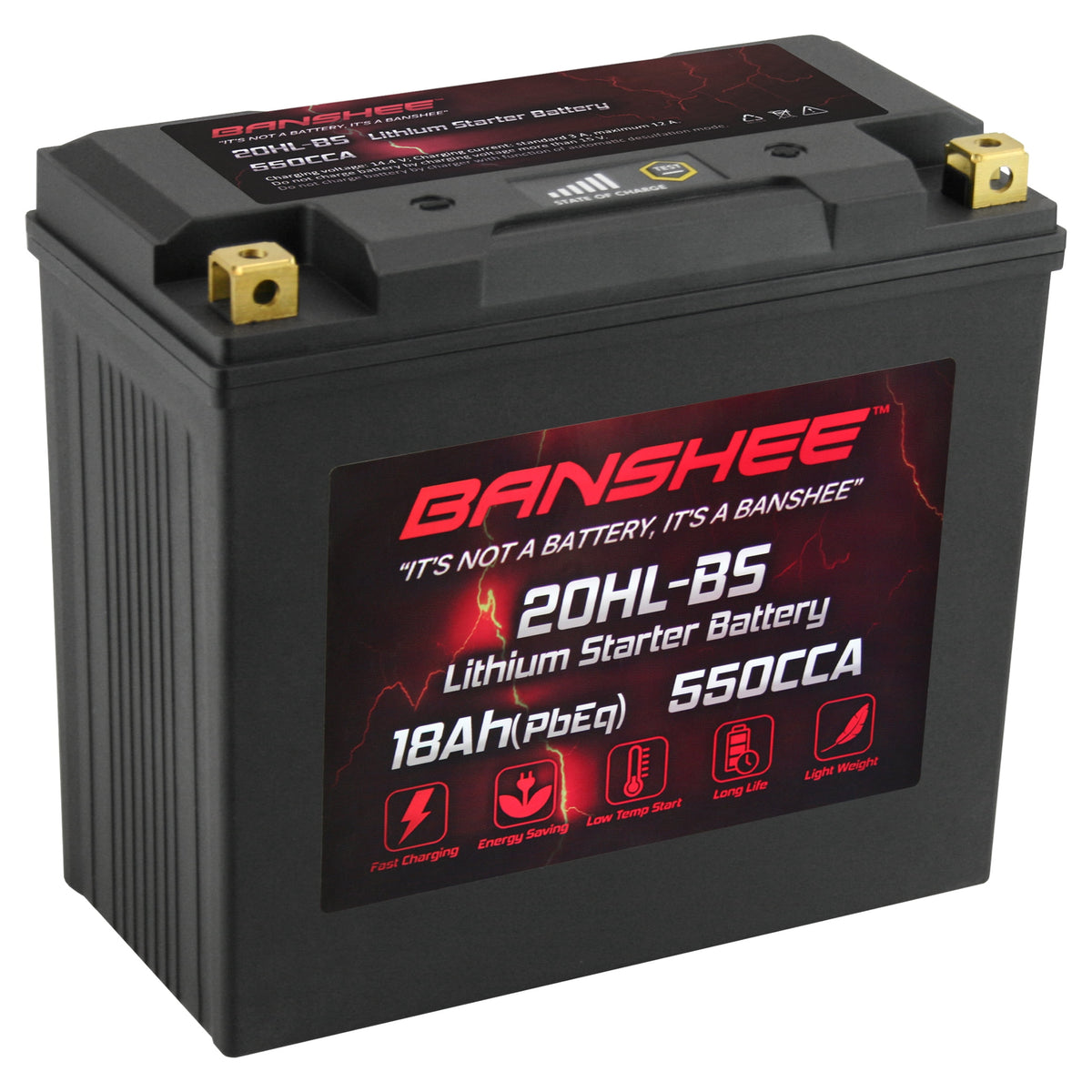 LiFePO4 Motorsports Battery I111