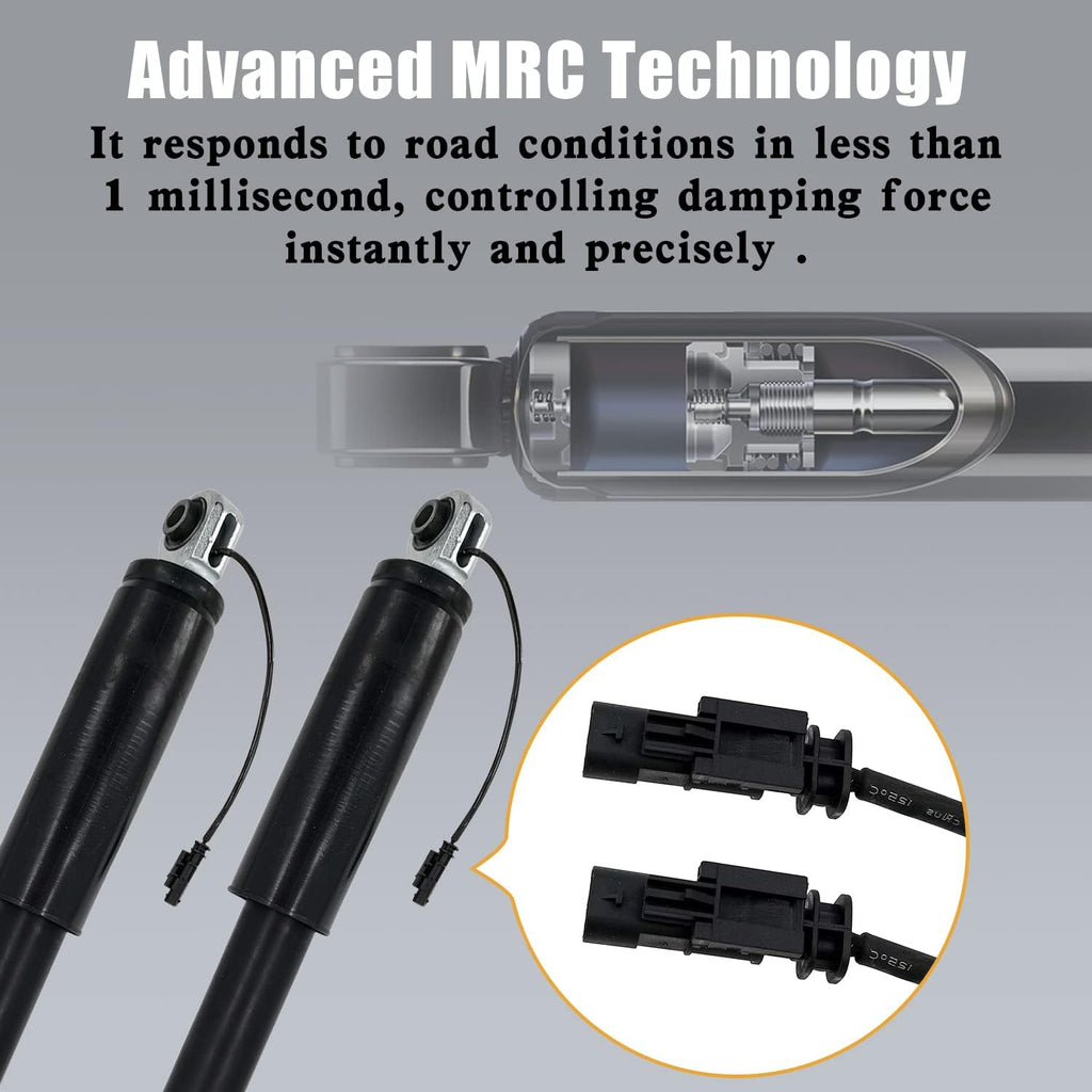 Rear Magnetic Shock Strut Absorber R215