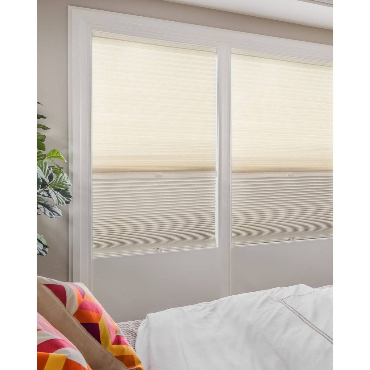 Cordless Cellular Shades W231272