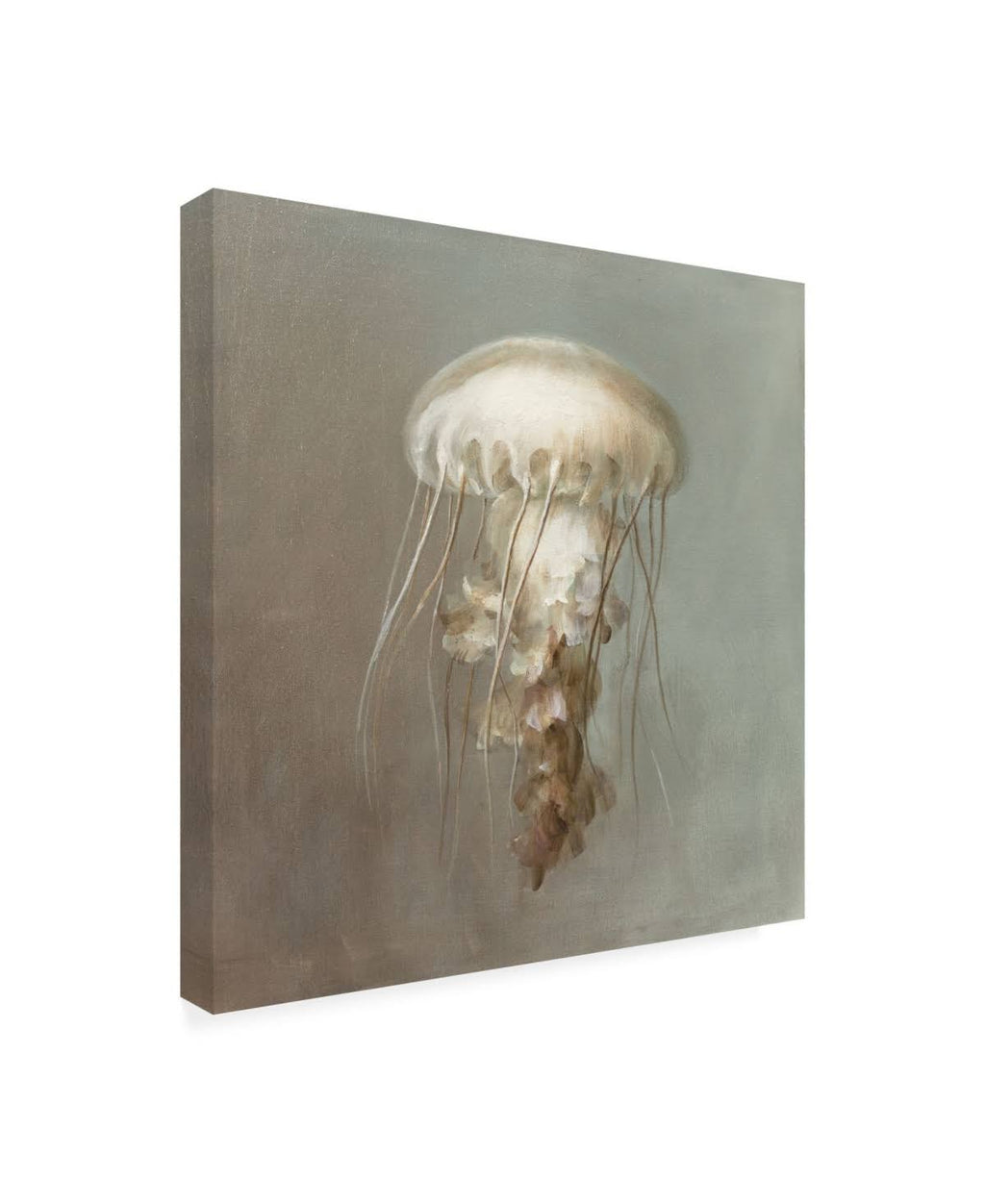 Treasures from The Sea Art Print B600338