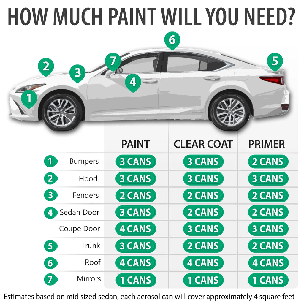 Glacier Metallic Automotive Touch Up Paint Spray Essential Kit R1142
