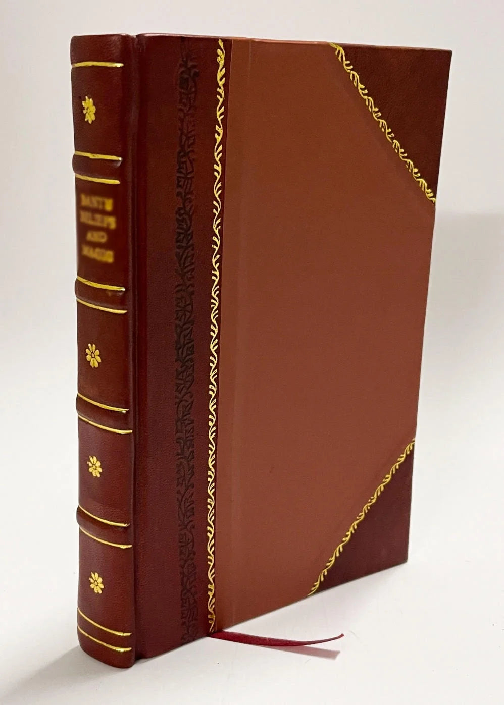 Sermons Sur Les Sections Du Catechisme Des Eglises Ref. De France Et Sur Div. Textes, Volume 1, Leather Bound I214240