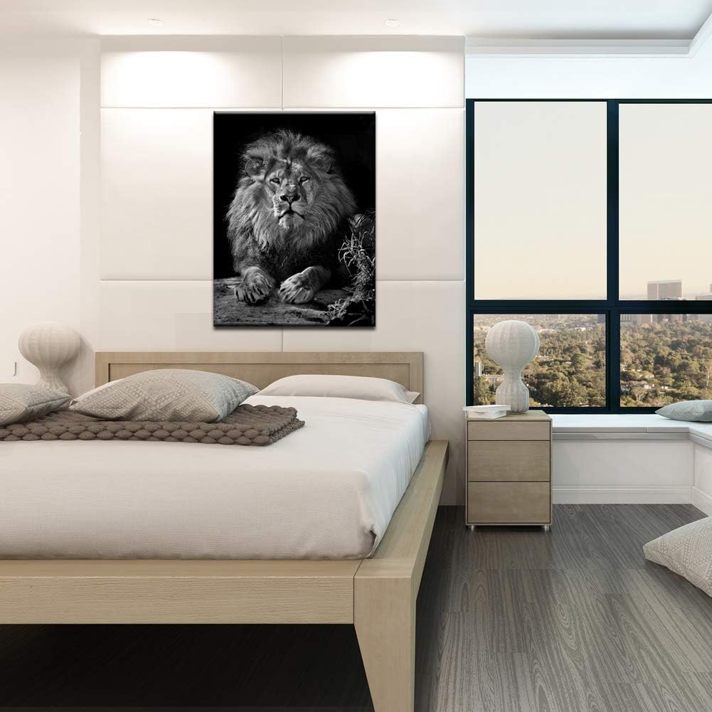 Black and White Lion Canvas Wall Art K95696
