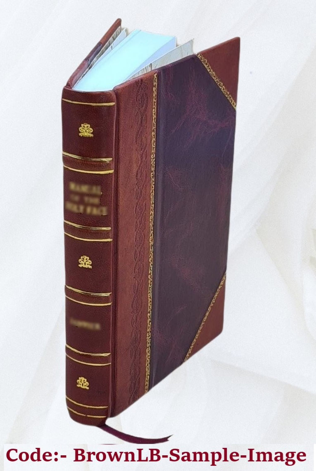 Leather Bound Book R221