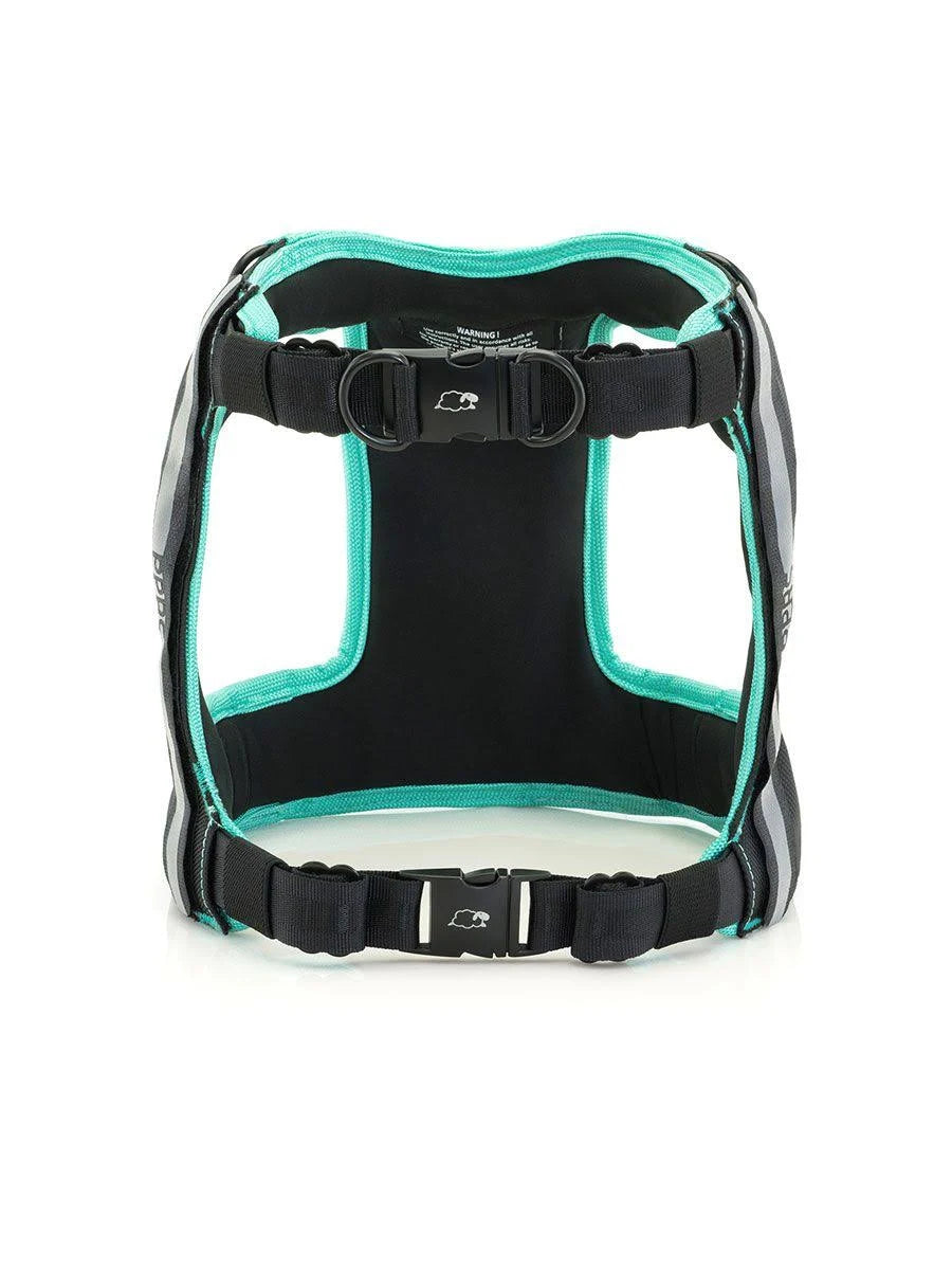 Large Black Dog Car Harness V753500