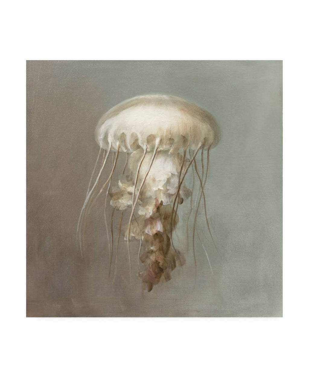 Treasures from The Sea Art Print B600338