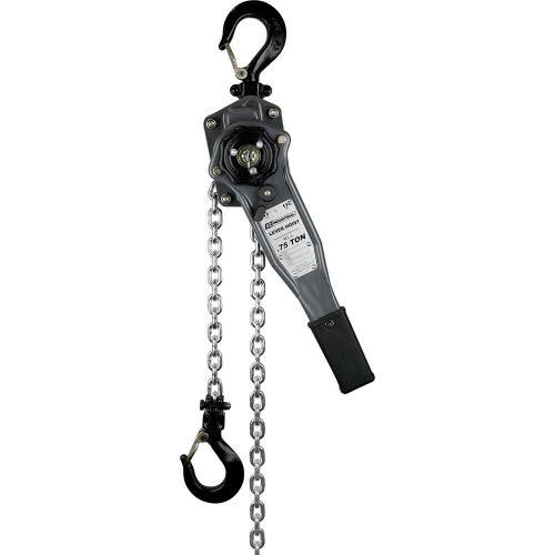 3/4 Ton Capacity 5' Lift Lever Hoist F4134