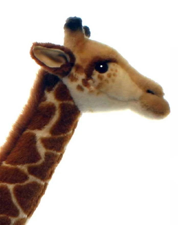 Giraffe Plush F1072