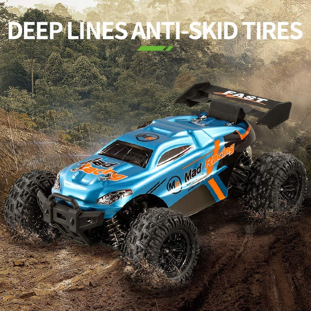 RC Cars 1:16 Scales 35+ kmh 4WD 2.4Ghz Off-Road Monster Truck Toy with 2 Batteries D114