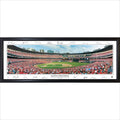 Framed Panorama B90565