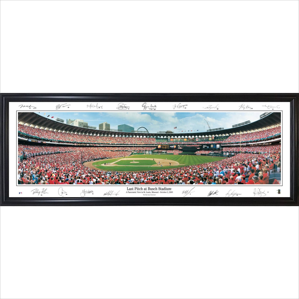 Framed Panorama B90565
