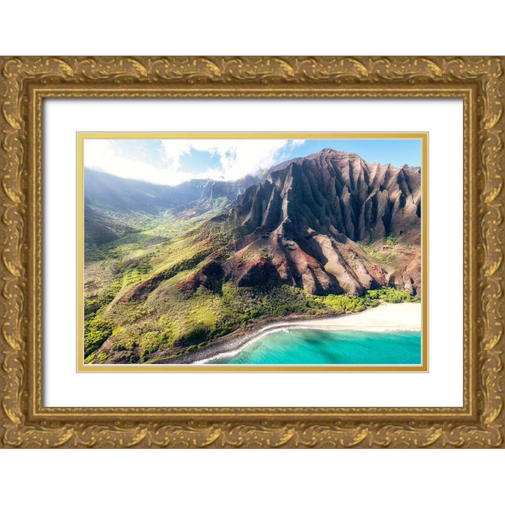 Gold Ornate Wood Framed Museum Art Print Y223190
