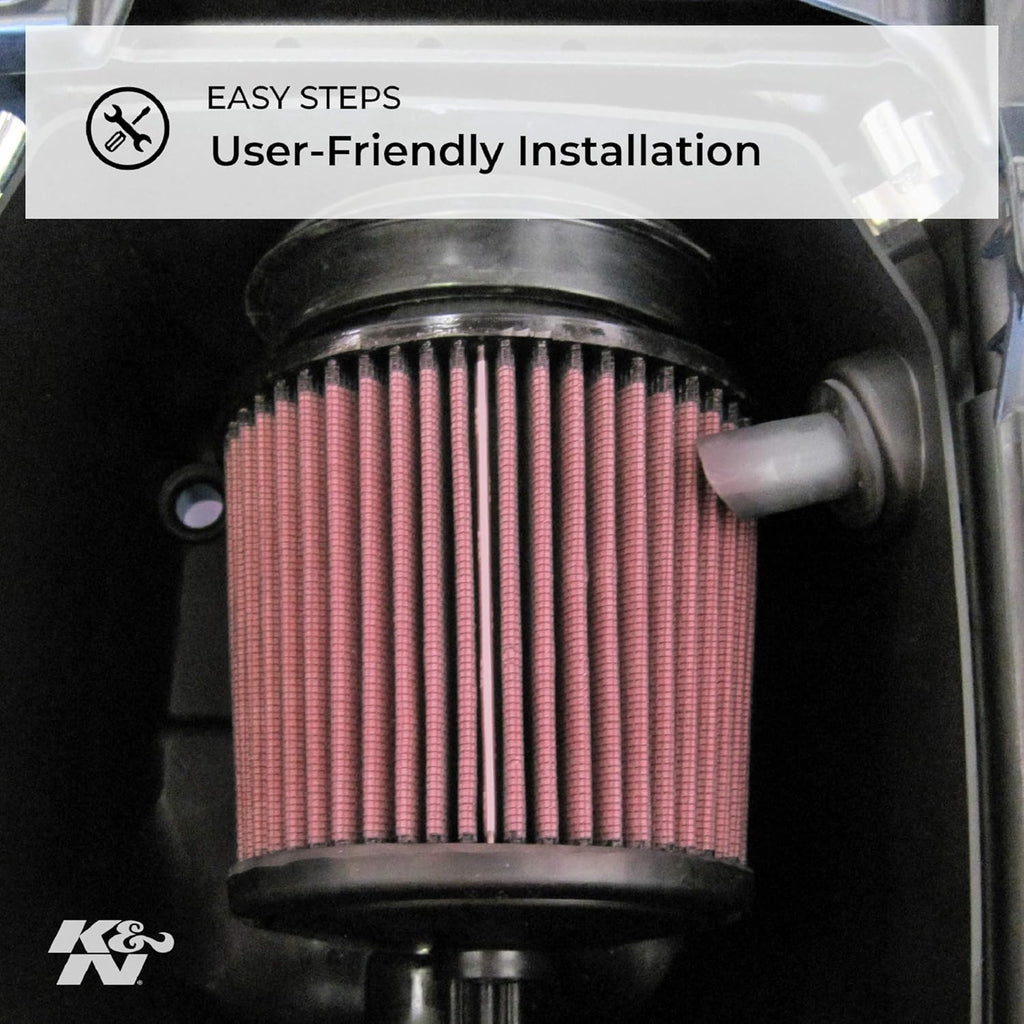 Engine Air Filter Pack of 2 A429293