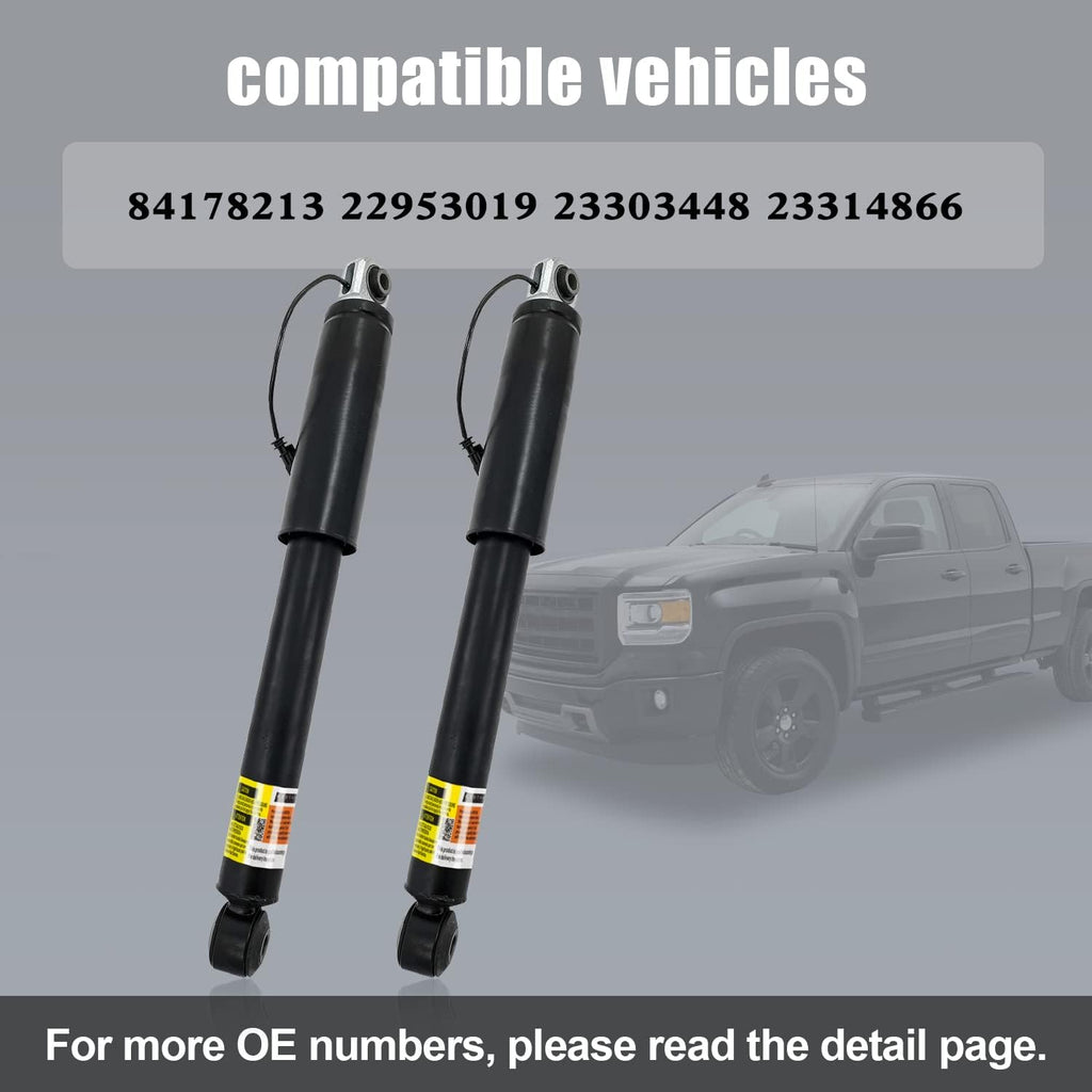 Rear Magnetic Shock Strut Absorber R215