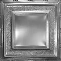 Brushed Satin Nickel 2 ft. x 2 ft. Nail Up Tin Ceiling Tile E15035