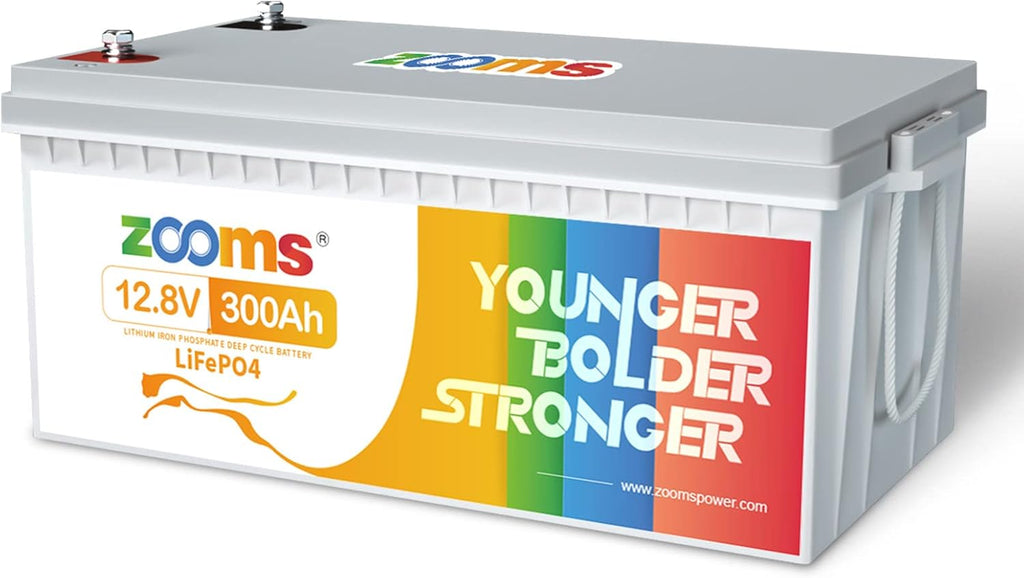 12V 100Ah LiFePO4 Deep Cycle Battery W5848