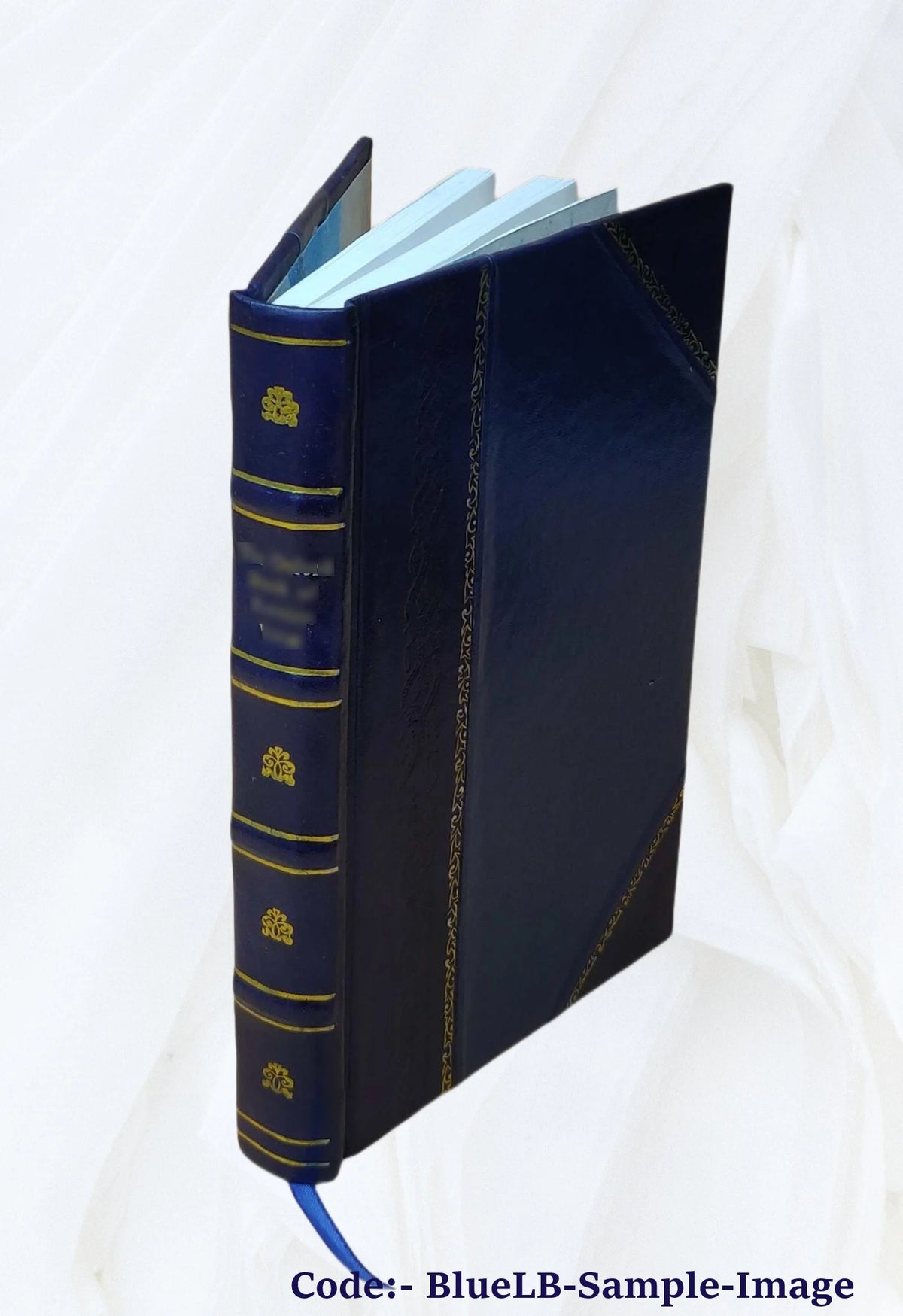Leather Bound Book R221