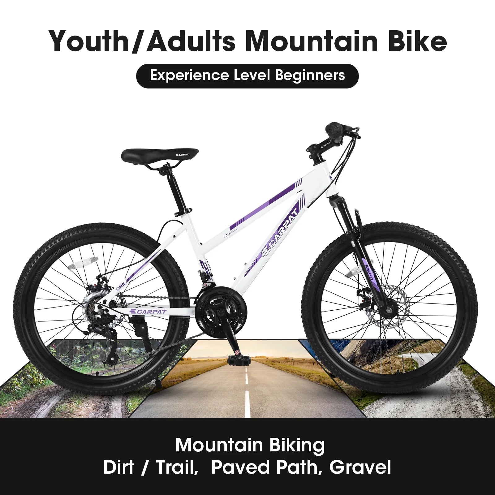 24 Inch Wheels Adult Mountain Bike with Dual Disc Brake Steel Frame A377
