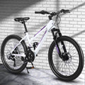 24 Inch Wheels Adult Mountain Bike with Dual Disc Brake Steel Frame A377