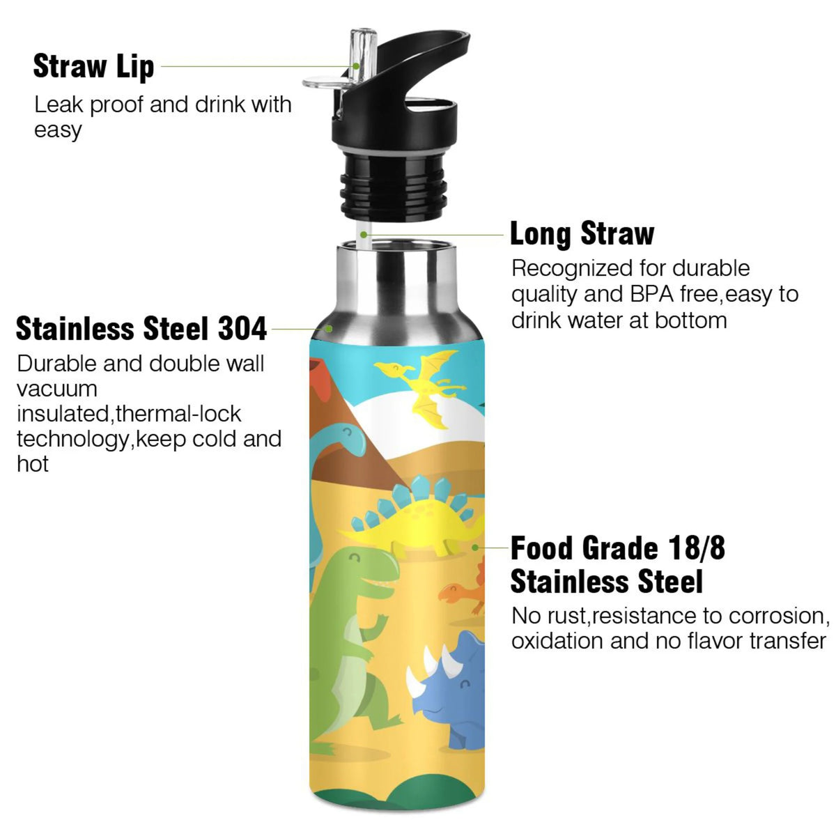 Stainless Steel Vacuum Insulated Water Bottle 20 OZ N220
