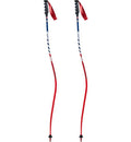 Downhill Race Poles M415273