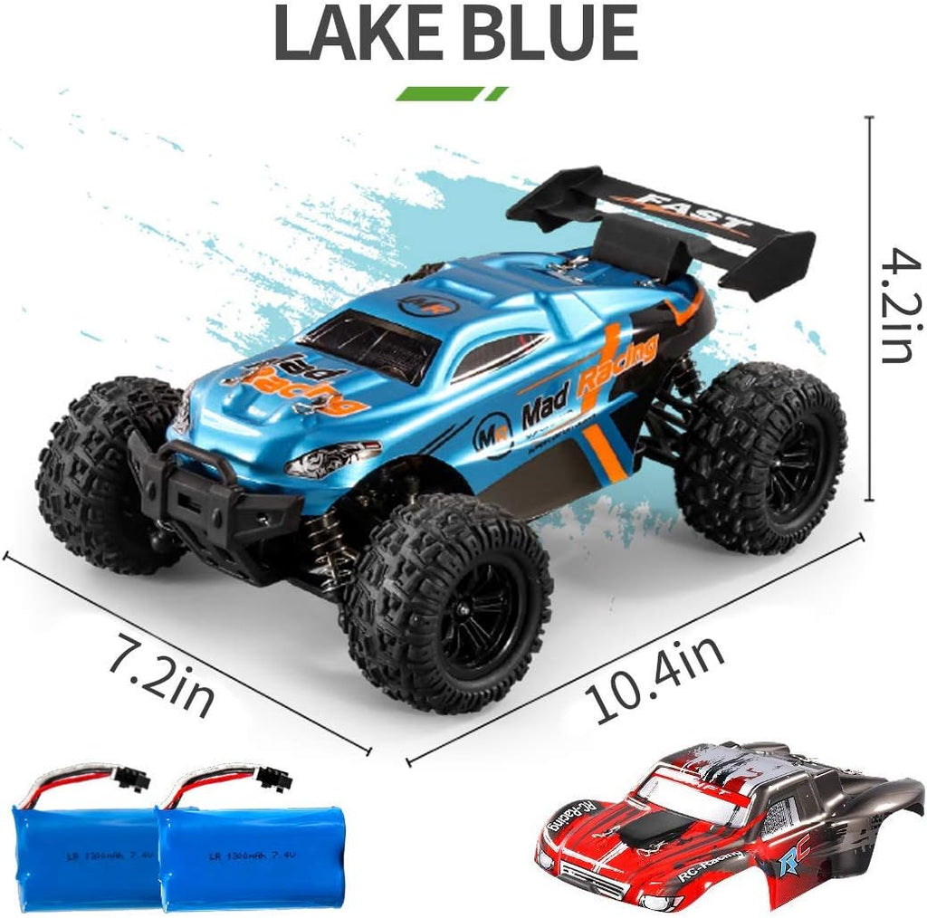 RC Cars 1:16 Scales 35+ kmh 4WD 2.4Ghz Off-Road Monster Truck Toy with 2 Batteries D114