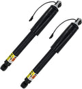 Rear Magnetic Shock Strut Absorber R215