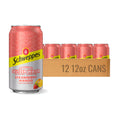 Strawberry Mango Sparkling Seltzer Water, 12 Pack, 12oz Cans I5505