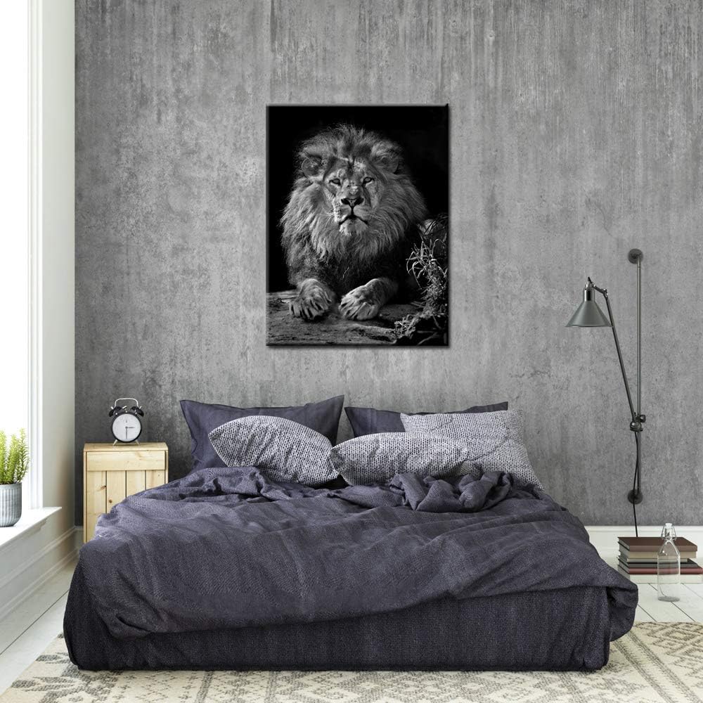 Black and White Lion Canvas Wall Art K95696