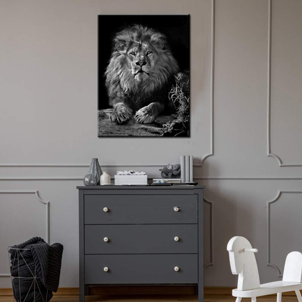 Black and White Lion Canvas Wall Art K95696