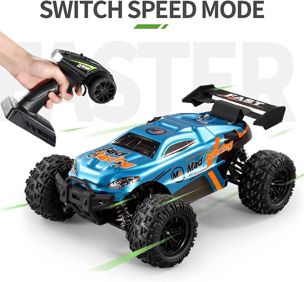 RC Cars 1:16 Scales 35+ kmh 4WD 2.4Ghz Off-Road Monster Truck Toy with 2 Batteries D114