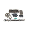 Camshaft Kit D46183