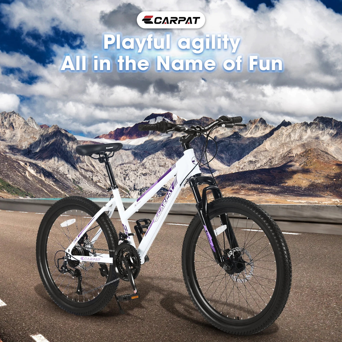 24 Inch Wheels Adult Mountain Bike with Dual Disc Brake Steel Frame A377
