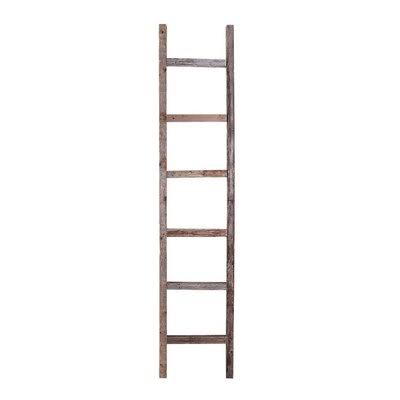 Gray Wood Ladder Bookcase B86831