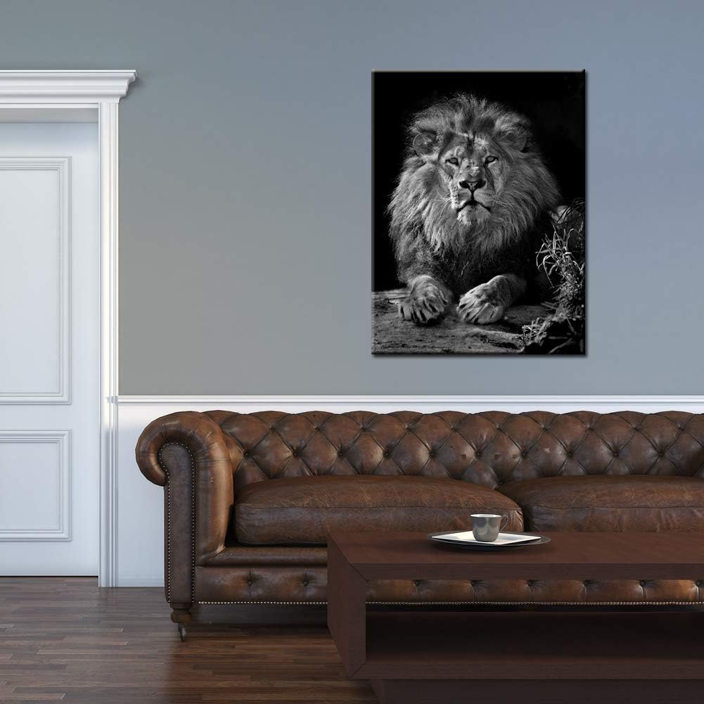 Black and White Lion Canvas Wall Art K95696