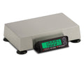 Electronic 6x22 x 10 Scale D165875